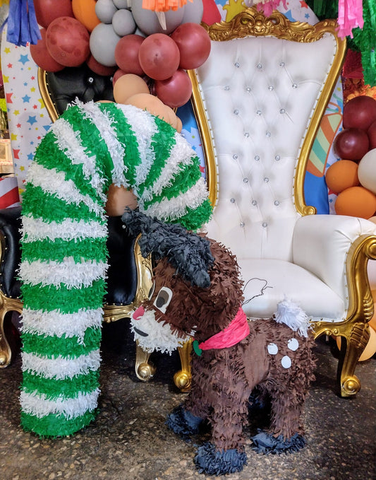 Sugar Cane Pinata